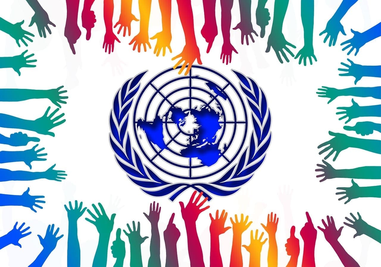 growing-role-of-ngos-and-the-un-beyond-the-horizon-issg