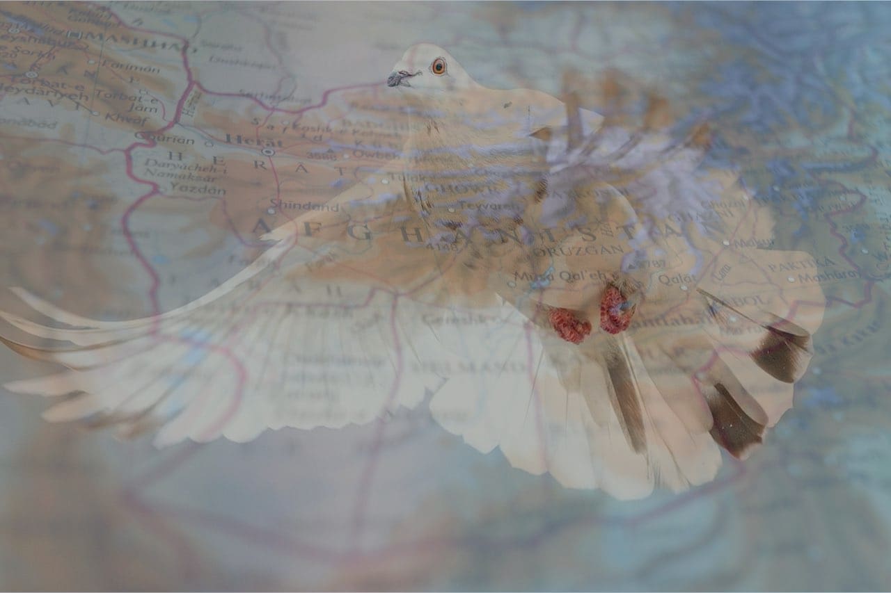 Afghan Peace Process Beyond the Horizon ISSG