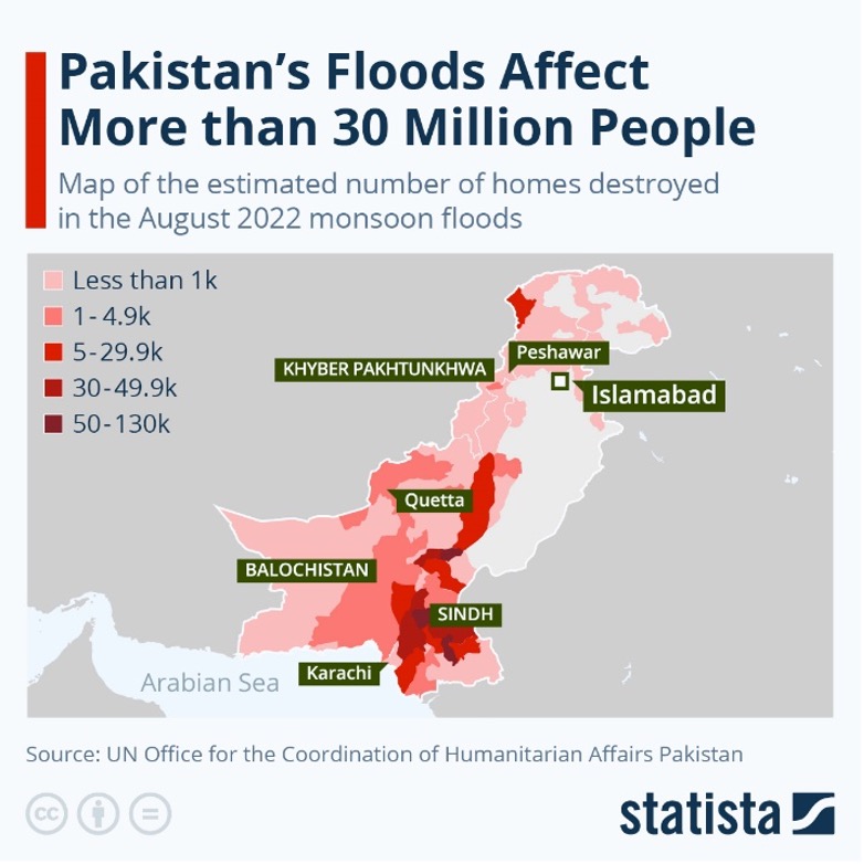 The Impacts of Recent Floods in Pakistan Beyond the Horizon ISSG 