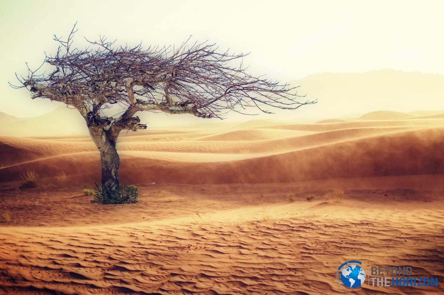 COP 27, EU Green Deal, and the Birth Pain of a New International Order