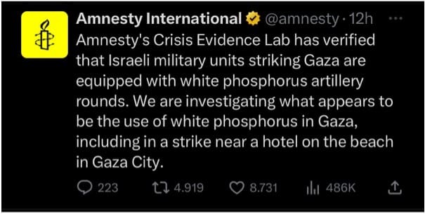 Palestinians The Fight Turns into Humanitarian Beyond the Horizon ISSG